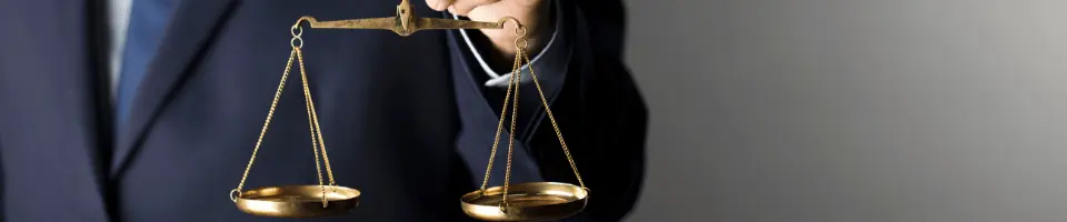 Lawyer