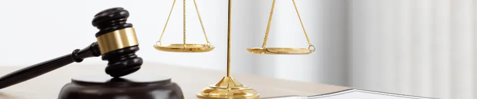 Lawyers