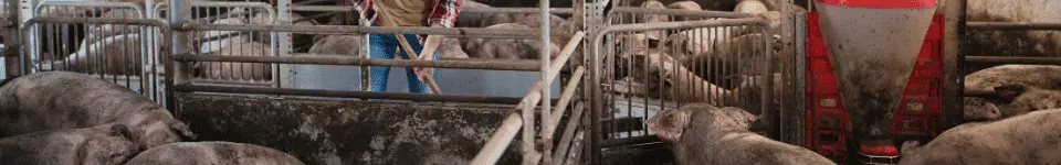 Farm Maintenance Worker