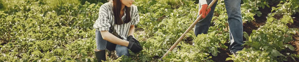 Gardeners