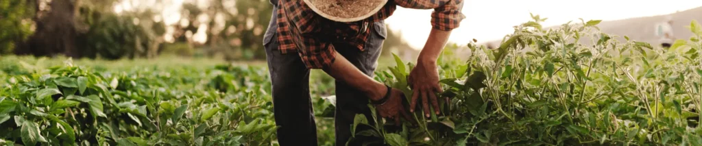 Farmer