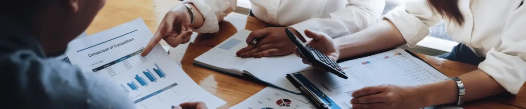 Finance and Accounting Professionals