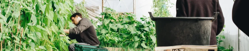 Greenhouse Worker